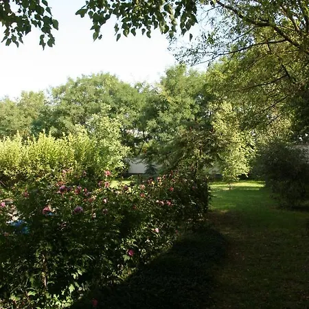 Lekehalom Tiszameer 度假居 *