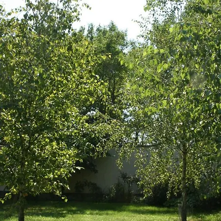 Lekehalom Tiszameer *