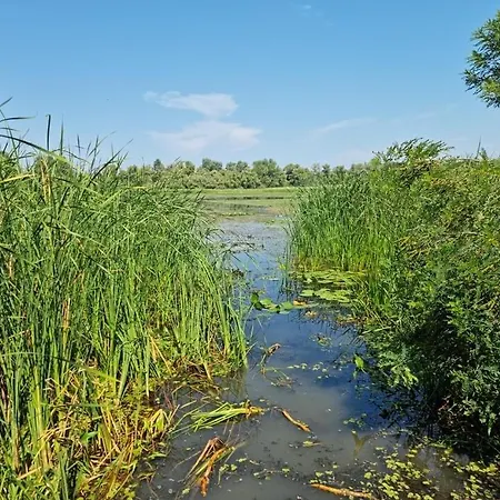 度假居 Lekehalom Tiszameer
