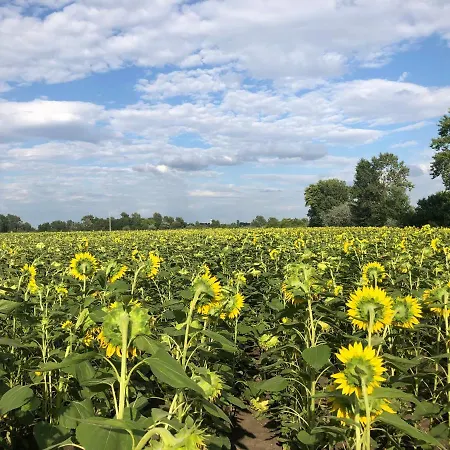 度假居 Lekehalom Tiszameer *