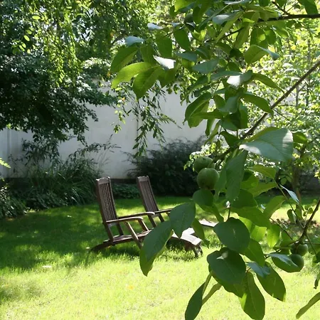 Lekehalom Tiszameer *