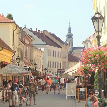 度假居 Lekehalom Tiszameer Tiszaszentimre