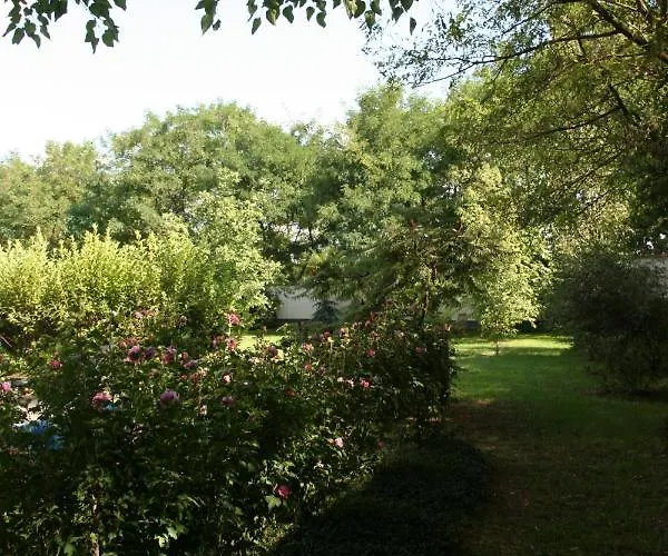 Lekehalom Tiszameer Hébergement de vacances *