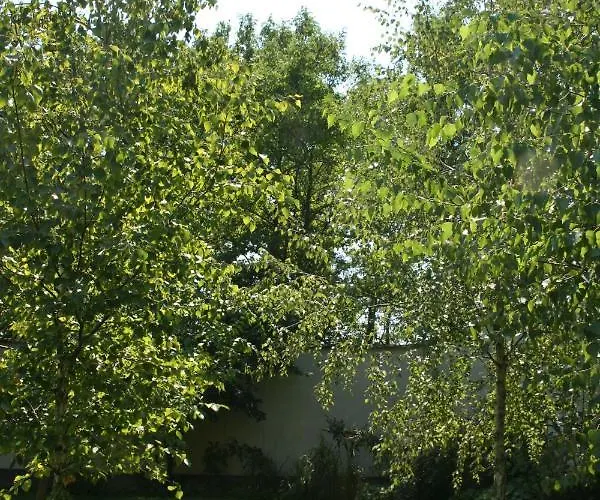 Lekehalom Tiszameer *