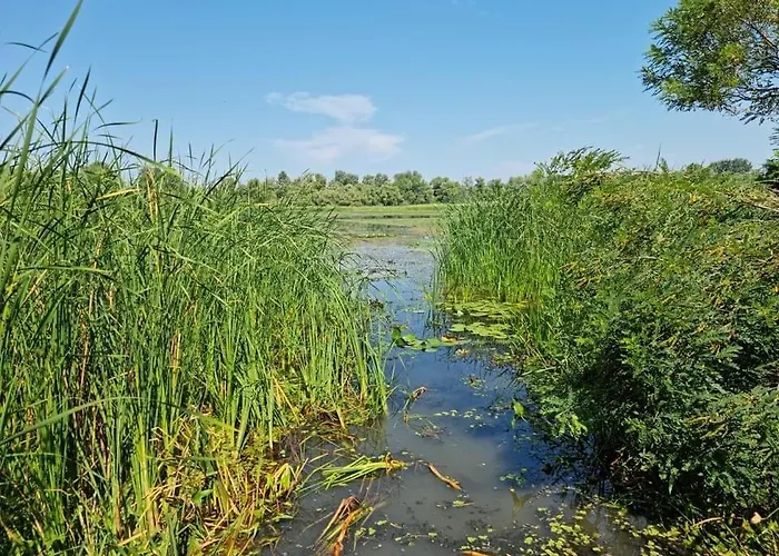 Hébergement de vacances Lekehalom Tiszameer