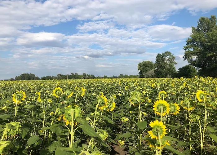 Hébergement de vacances Lekehalom Tiszameer *
