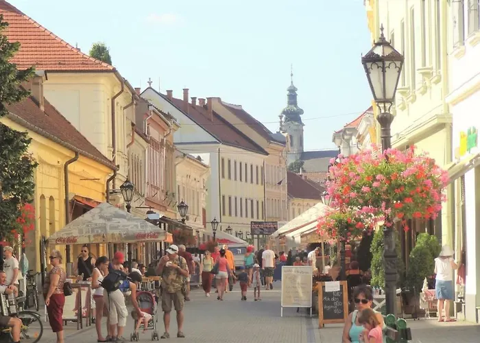 Hébergement de vacances Lekehalom Tiszameer Tiszaszentimre